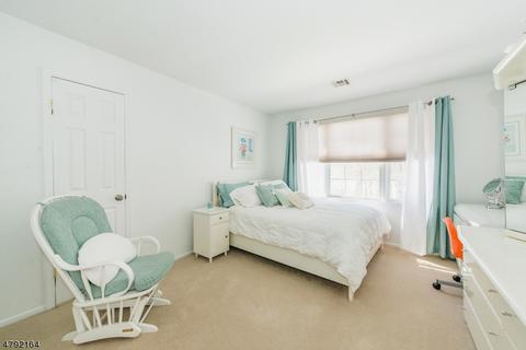 30 David Dr, Randolph, NJ 07869 photo 23