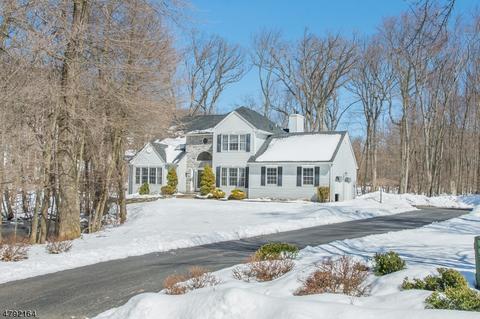 30 David Dr, Randolph, NJ 07869 photo 1