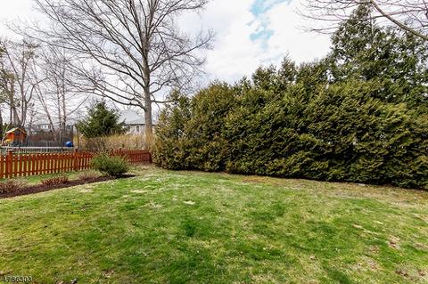 34 Lewis Ave, Summit, NJ 07901 photo 19
