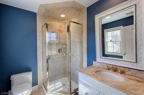 85 Lowery Ln, Mendham, NJ 07945 photo 15