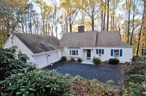 43 Mockingbird Rd, Hackettstown, NJ 07840 photo 1