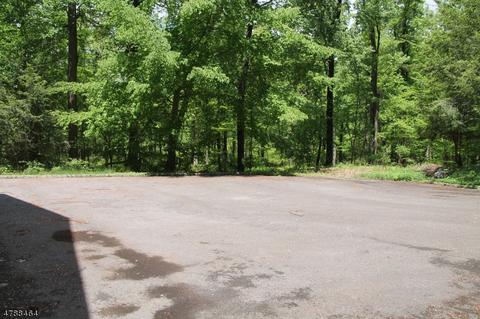 147 Black Brook Rd, Hampton, NJ 08827 photo 7