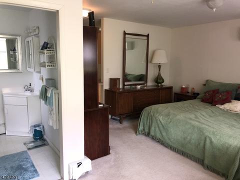 5 Young Dr, Stanhope, NJ 07874 photo 18