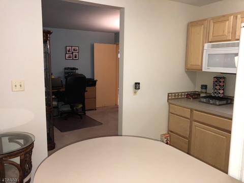 5 Young Dr, Stanhope, NJ 07874 photo 19