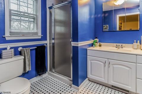 24 Prospect St, Summit, NJ 07901 photo 25