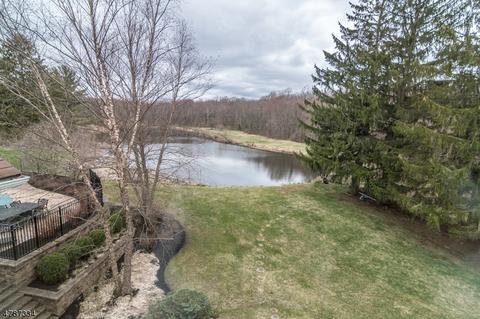 41 Doby Rd, Mendham, NJ 07945 photo 14