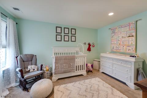 5 Alexanders Rd, Hackettstown, NJ 07840 photo 14