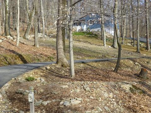 131 Black Brook Rd, Hampton, NJ 08827 photo 16