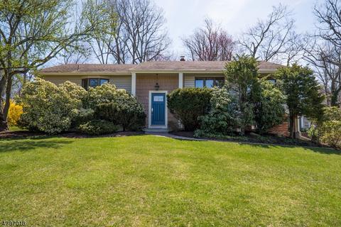 31 Nathan Way, Wayne, NJ 07470 photo 25