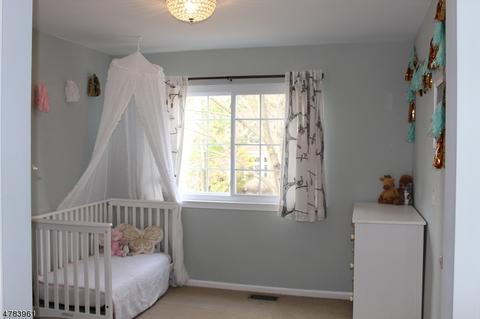 2 Evans Ct, Bedminster, NJ 07921 photo 15