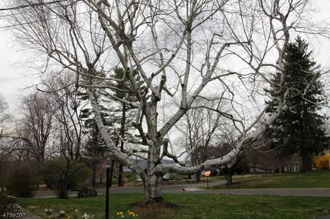 2 Fairview Ave, Clinton, NJ 08809 photo 7