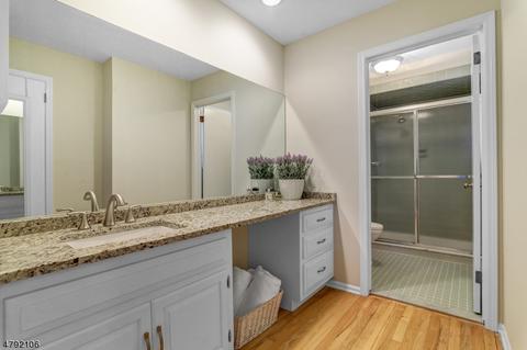 174 Spring Ridge Dr, Berkeley Heights, NJ 07922 photo 14
