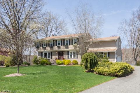 17 Meadowbrook Rd, Randolph, NJ 07869 photo 1