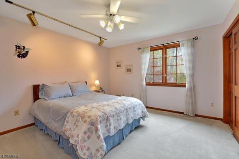 3 Rachel Ct, Hampton, NJ 08827 photo 17