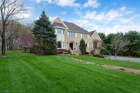 3 Rachel Ct, Hampton, NJ 08827 photo 2