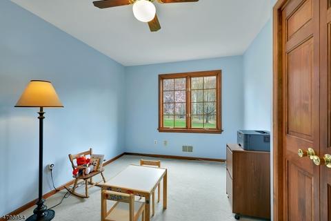 3 Rachel Ct, Hampton, NJ 08827 photo 19