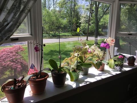 81 Dean Rd, Mendham, NJ 07945 photo 9