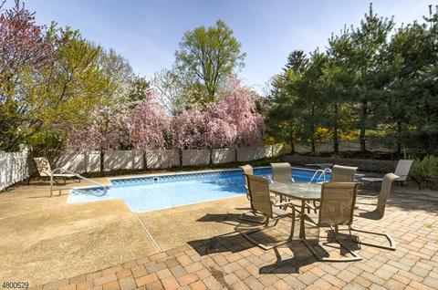3 Ruskin Ct, Wayne, NJ 07470 photo 23