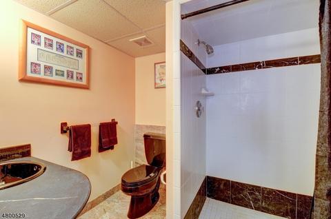 3 Ruskin Ct, Wayne, NJ 07470 photo 21