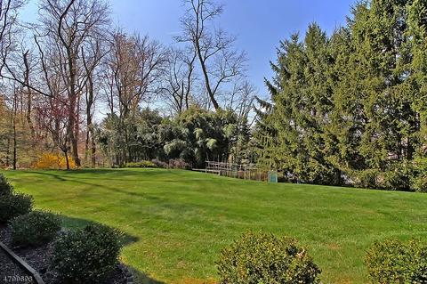 128 E Springbrook Dr, Gillette, NJ 07933 photo 20