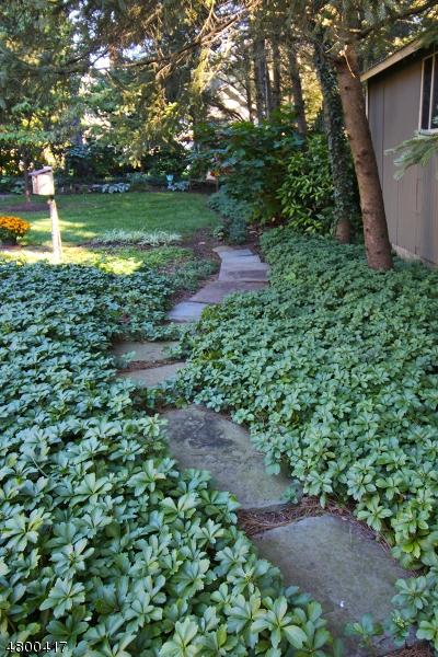 24 Spring St, Flemington, NJ 08822 photo 25