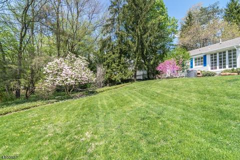 3 Talmage Rd, Mendham, NJ 07945 photo 21