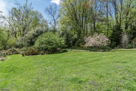 3 Talmage Rd, Mendham, NJ 07945 photo 23