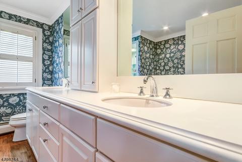15 Colt Rd, Summit, NJ 07901 photo 25