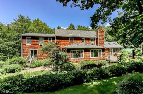 15 Turtleback Rd, Califon, NJ 07830 photo 25