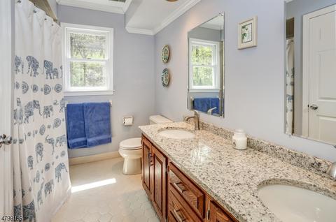 15 Turtleback Rd, Califon, NJ 07830 photo 21
