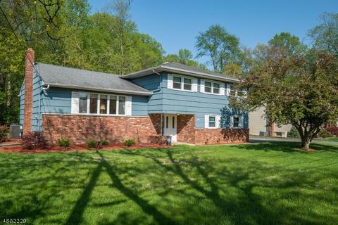 164 Andover Dr, Wayne, NJ 07470 photo 1