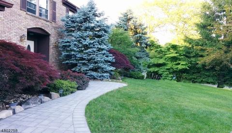 11 Munster Pl, Wayne, NJ 07470 photo 2