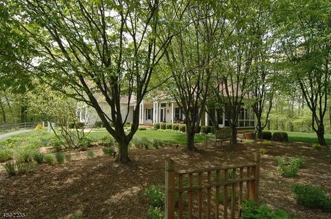 4 Michael Dr, Hackettstown, NJ 07840 photo 20