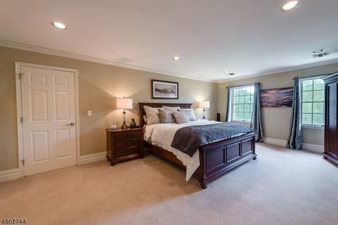 1 Tranquility Pl, Randolph, NJ 07869 photo 13