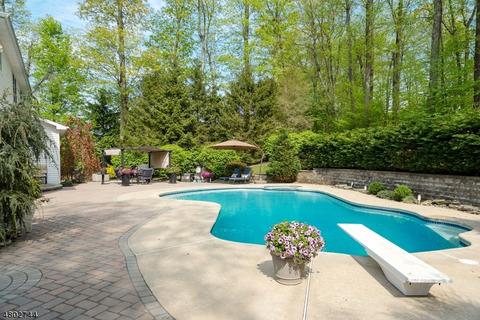 1 Tranquility Pl, Randolph, NJ 07869 photo 22