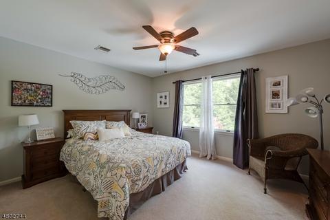 1 Tranquility Pl, Randolph, NJ 07869 photo 18