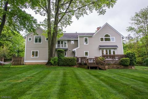 48 Cold Hill Rd, Mendham, NJ 07945 photo 18