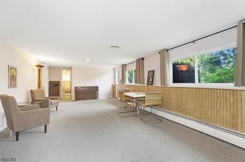 29 Burnside Pl, Wayne, NJ 07470 photo 18