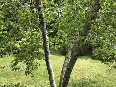 406 Hillside Ave, Nutley, NJ 07110 photo 20