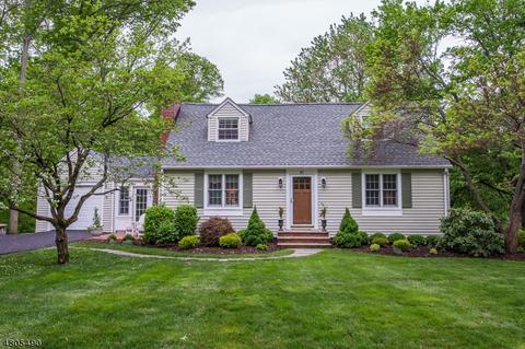57 Lyons Rd, Bernards, NJ 07920 photo 1