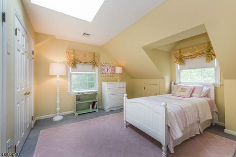 57 Lyons Rd, Bernards, NJ 07920 photo 17