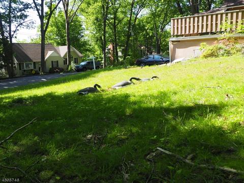 36 Spruce Ter, Wayne, NJ 07470 photo 10