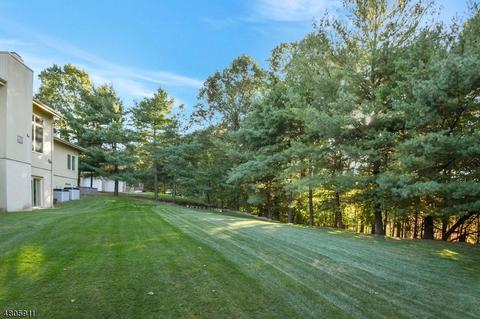186 Eileen Dr, Cedar Grove, NJ 07009 photo 25