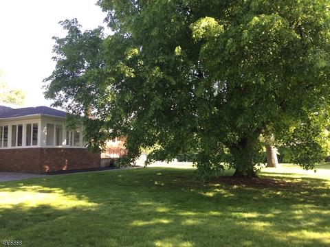 100 Warwick Cir, Springfield, NJ 07081 photo 13