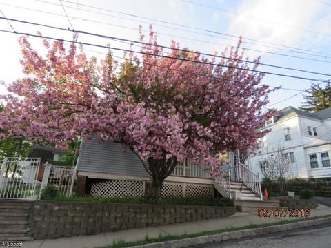 37 Park Ave, Dover, NJ 07801 photo 2