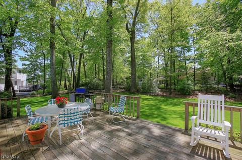 7 Ash Ln, Randolph, NJ 07869 photo 19