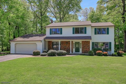 7 Ash Ln, Randolph, NJ 07869 photo 1