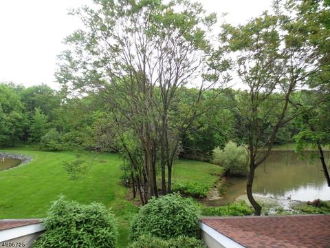 43 N Slope, Clinton, NJ 08809 photo 9