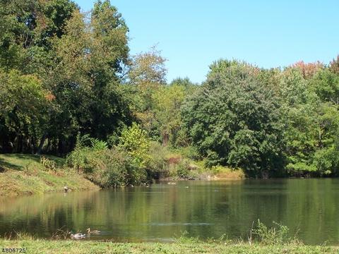 43 N Slope, Clinton, NJ 08809 photo 10