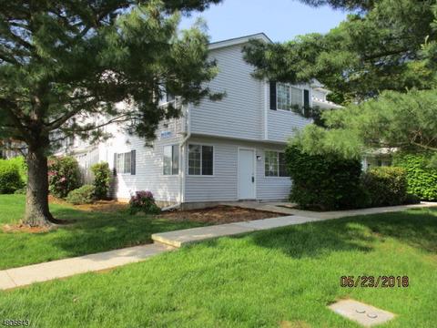 55 Cheswich Ct, Bedminster, NJ 07921 photo 1